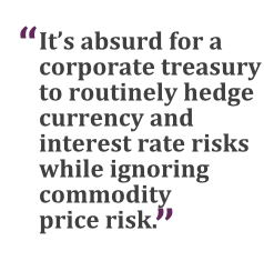 "It's absurd for a corporate treasury to routinely hedge currency and interest rate risks while ignoring commodity price risk."