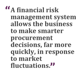"A financial risk management system allows the business to make smarter decisions, far more quickly, in response to market fluctuations."